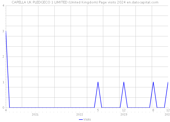 CAPELLA UK PLEDGECO 1 LIMITED (United Kingdom) Page visits 2024 