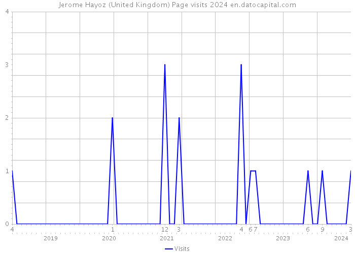 Jerome Hayoz (United Kingdom) Page visits 2024 