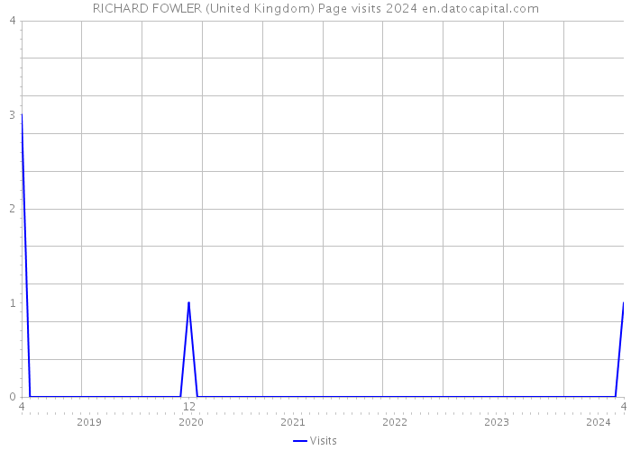 RICHARD FOWLER (United Kingdom) Page visits 2024 