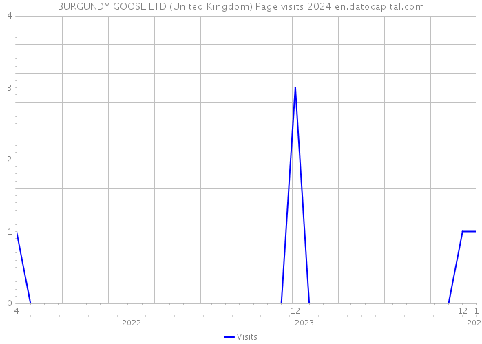 BURGUNDY GOOSE LTD (United Kingdom) Page visits 2024 