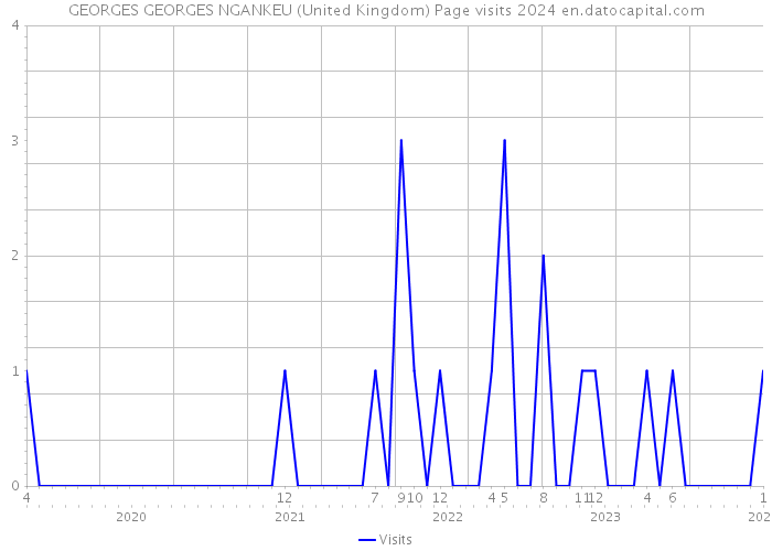 GEORGES GEORGES NGANKEU (United Kingdom) Page visits 2024 