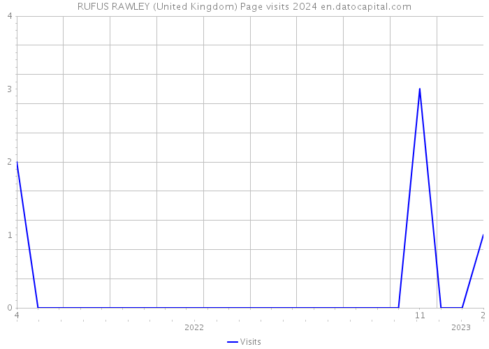 RUFUS RAWLEY (United Kingdom) Page visits 2024 