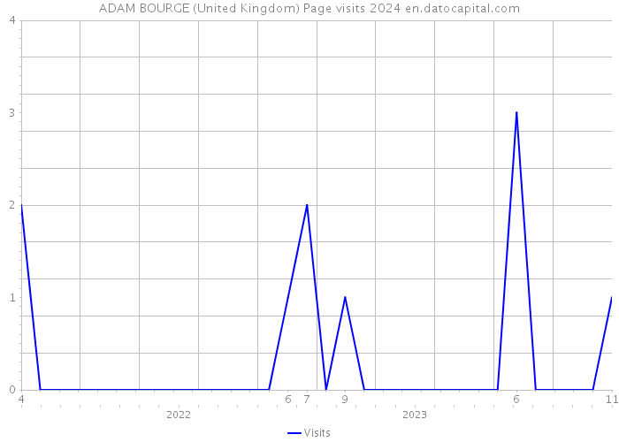 ADAM BOURGE (United Kingdom) Page visits 2024 