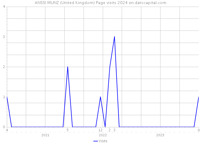 ANSSI MUNZ (United Kingdom) Page visits 2024 