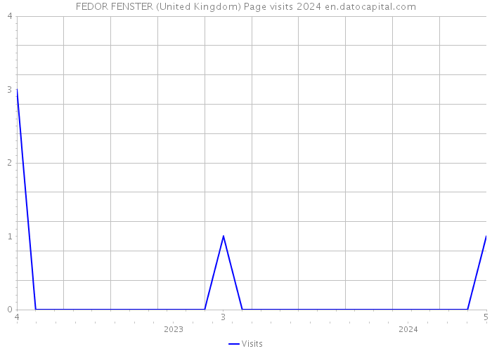 FEDOR FENSTER (United Kingdom) Page visits 2024 