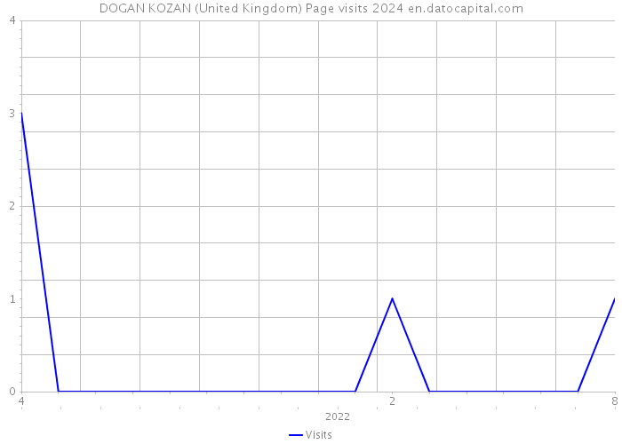 DOGAN KOZAN (United Kingdom) Page visits 2024 