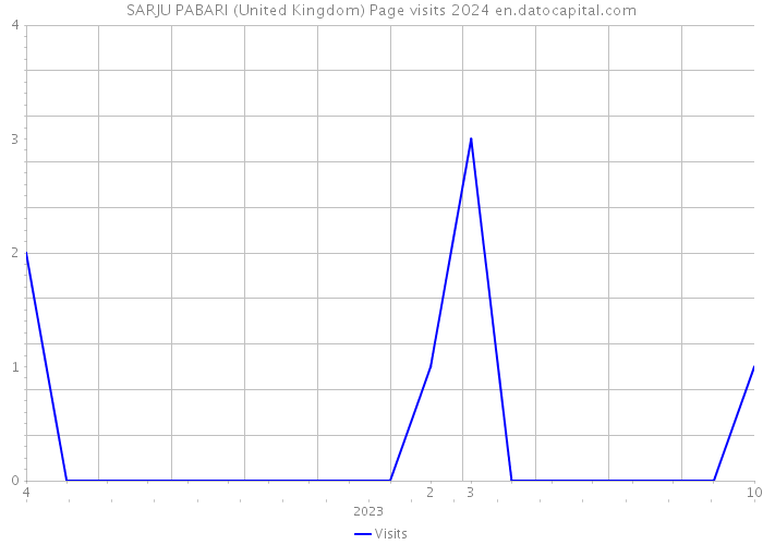 SARJU PABARI (United Kingdom) Page visits 2024 