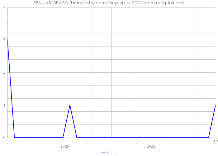 SEAN AMOROSO (United Kingdom) Page visits 2024 