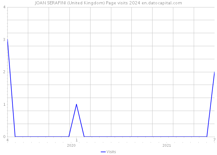 JOAN SERAFINI (United Kingdom) Page visits 2024 