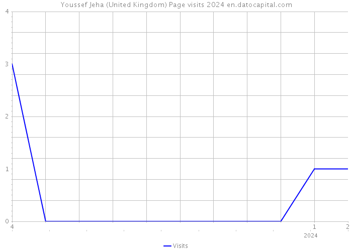 Youssef Jeha (United Kingdom) Page visits 2024 