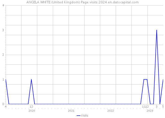 ANGELA WHITE (United Kingdom) Page visits 2024 