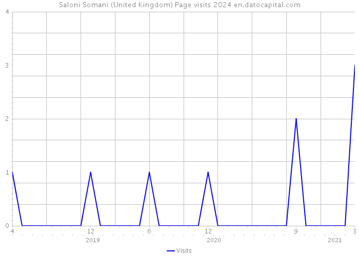 Saloni Somani (United Kingdom) Page visits 2024 