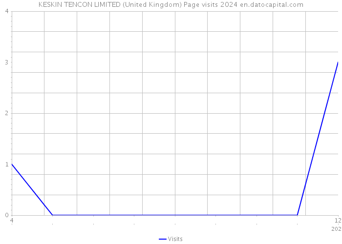 KESKIN TENCON LIMITED (United Kingdom) Page visits 2024 