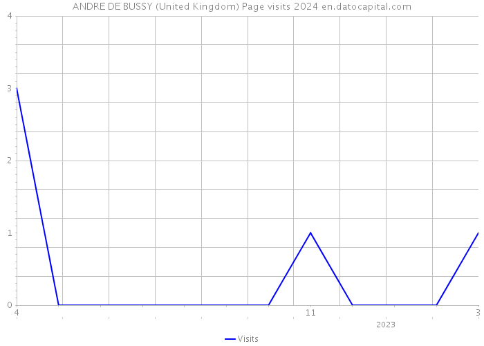 ANDRE DE BUSSY (United Kingdom) Page visits 2024 
