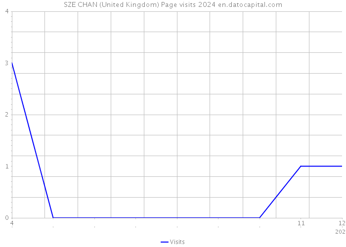 SZE CHAN (United Kingdom) Page visits 2024 
