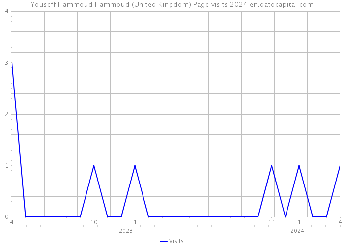 Youseff Hammoud Hammoud (United Kingdom) Page visits 2024 