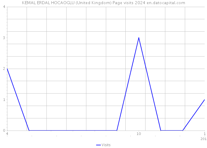 KEMAL ERDAL HOCAOGLU (United Kingdom) Page visits 2024 