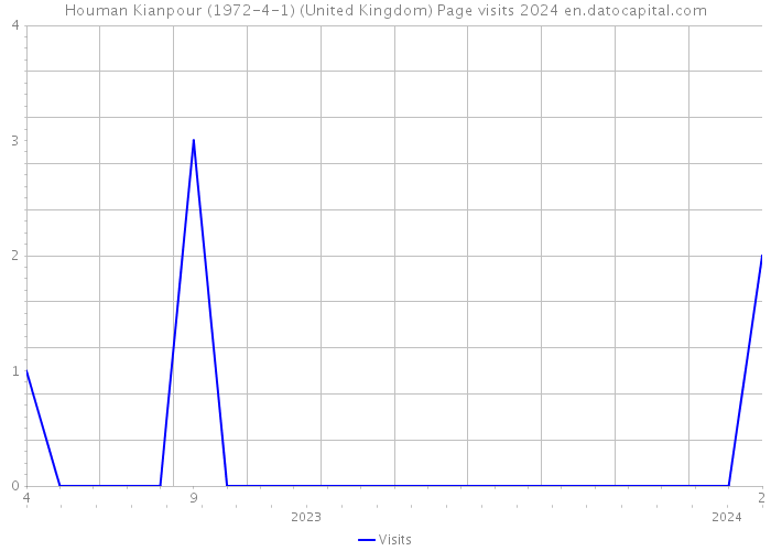 Houman Kianpour (1972-4-1) (United Kingdom) Page visits 2024 