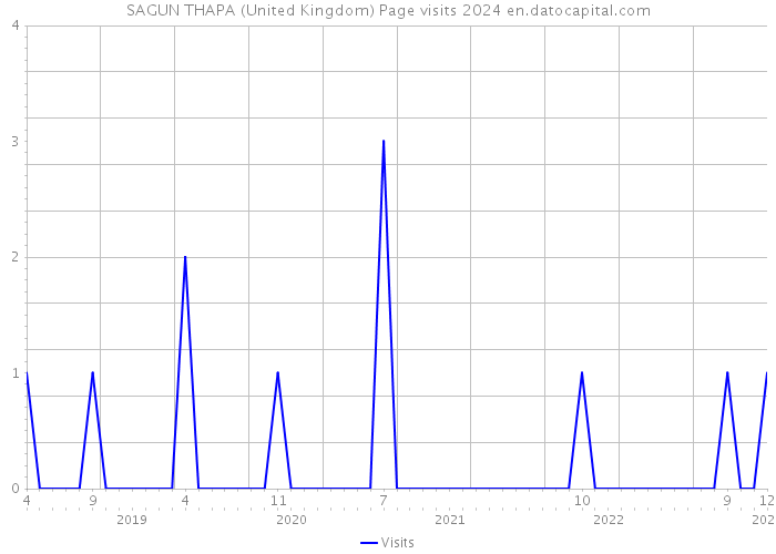 SAGUN THAPA (United Kingdom) Page visits 2024 