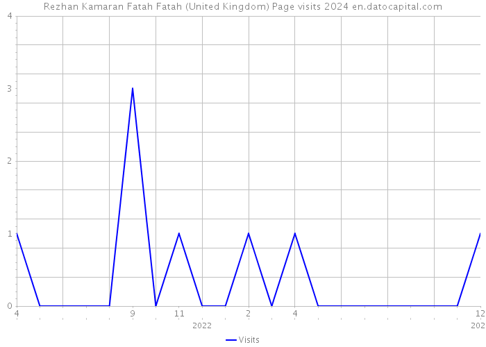 Rezhan Kamaran Fatah Fatah (United Kingdom) Page visits 2024 