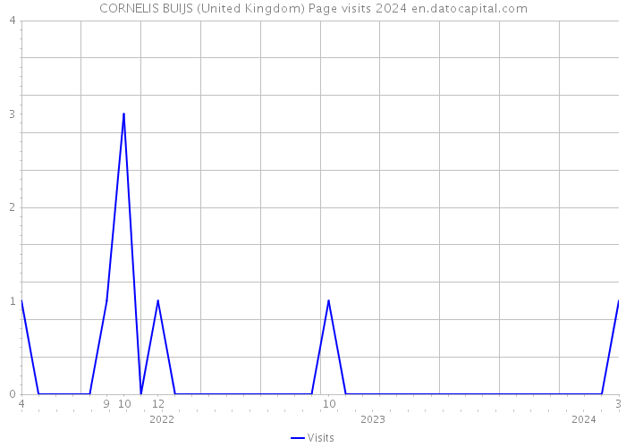 CORNELIS BUIJS (United Kingdom) Page visits 2024 