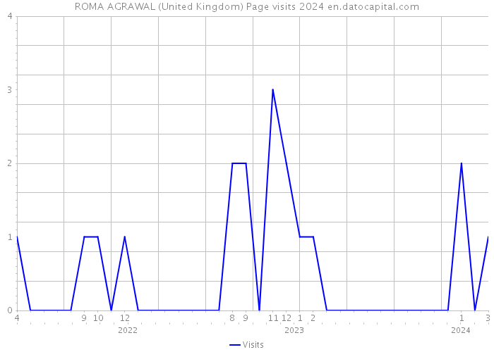 ROMA AGRAWAL (United Kingdom) Page visits 2024 
