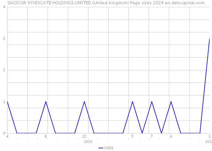 SAGICOR SYNDICATE HOLDINGS LIMITED (United Kingdom) Page visits 2024 