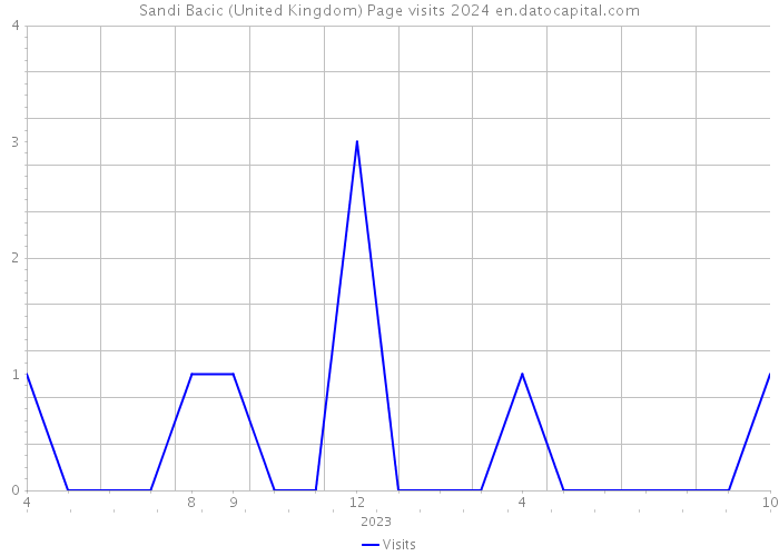 Sandi Bacic (United Kingdom) Page visits 2024 