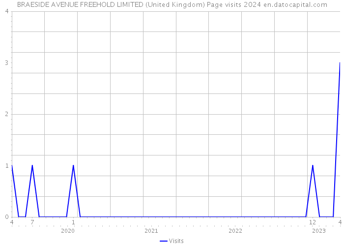 BRAESIDE AVENUE FREEHOLD LIMITED (United Kingdom) Page visits 2024 