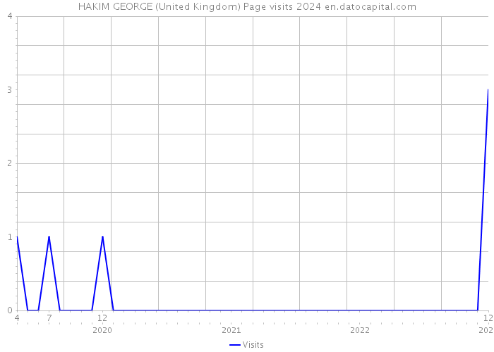 HAKIM GEORGE (United Kingdom) Page visits 2024 