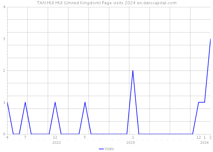 TAN HUI HUI (United Kingdom) Page visits 2024 