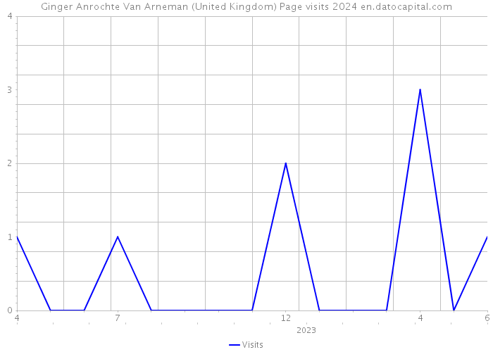 Ginger Anrochte Van Arneman (United Kingdom) Page visits 2024 