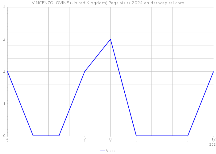 VINCENZO IOVINE (United Kingdom) Page visits 2024 