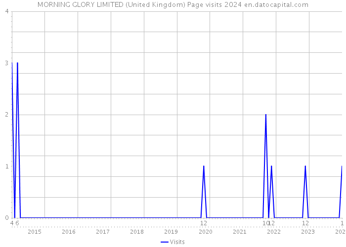 MORNING GLORY LIMITED (United Kingdom) Page visits 2024 