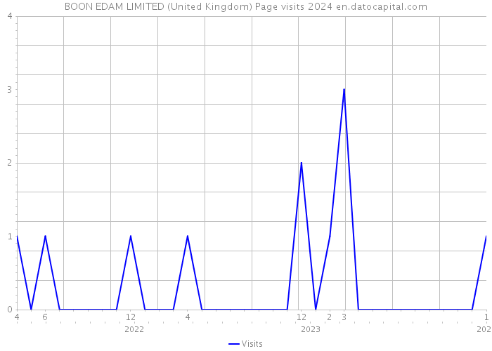 BOON EDAM LIMITED (United Kingdom) Page visits 2024 