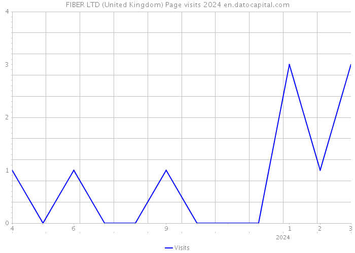 FIBER LTD (United Kingdom) Page visits 2024 