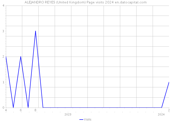 ALEJANDRO REYES (United Kingdom) Page visits 2024 