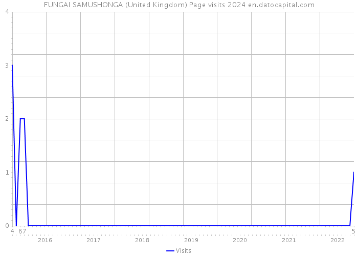 FUNGAI SAMUSHONGA (United Kingdom) Page visits 2024 