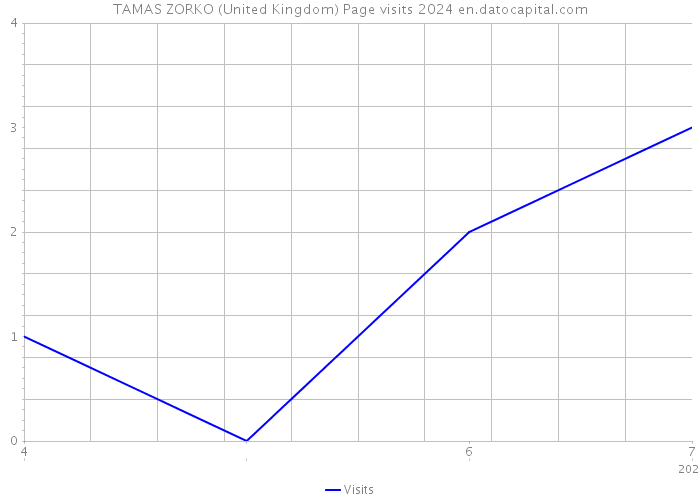 TAMAS ZORKO (United Kingdom) Page visits 2024 