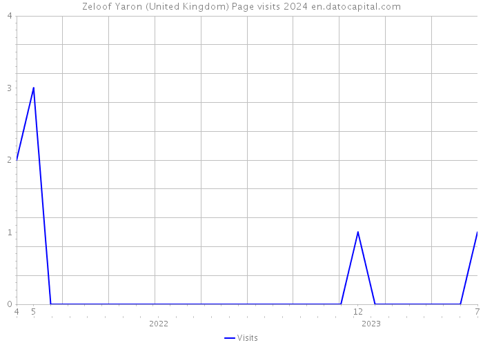 Zeloof Yaron (United Kingdom) Page visits 2024 