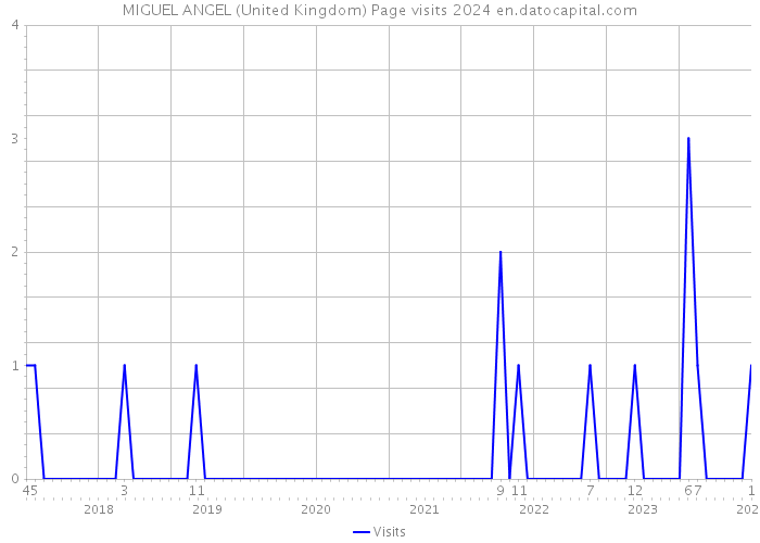 MIGUEL ANGEL (United Kingdom) Page visits 2024 