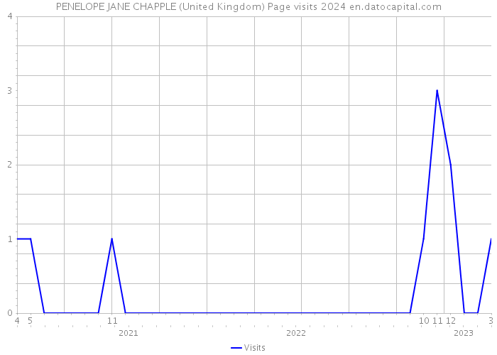 PENELOPE JANE CHAPPLE (United Kingdom) Page visits 2024 