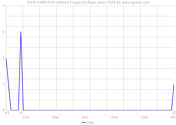 SONA KARIKOVA (United Kingdom) Page visits 2024 