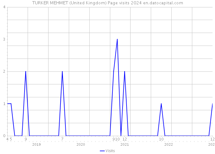 TURKER MEHMET (United Kingdom) Page visits 2024 