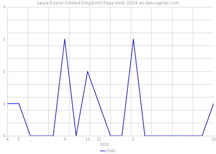 Laura Kusnir (United Kingdom) Page visits 2024 