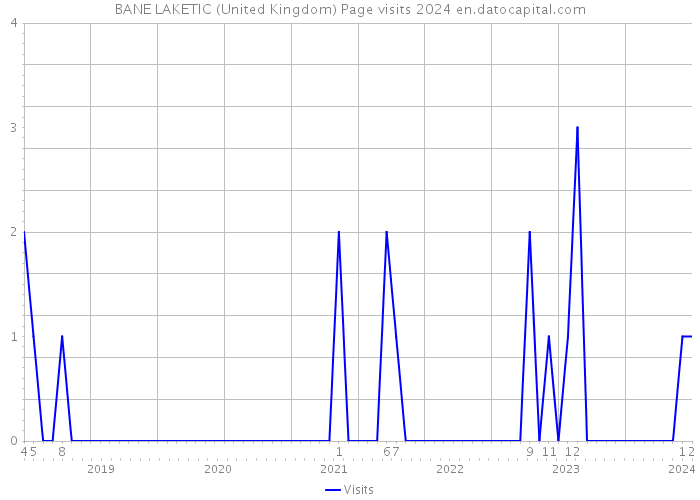 BANE LAKETIC (United Kingdom) Page visits 2024 