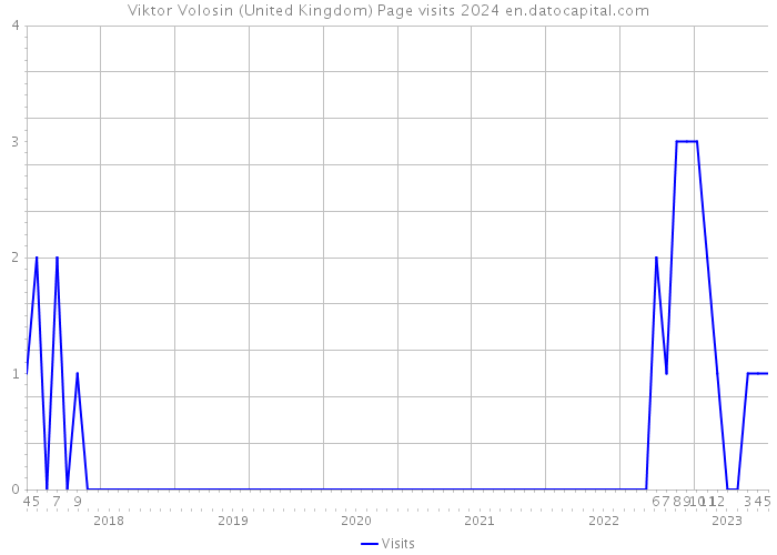 Viktor Volosin (United Kingdom) Page visits 2024 