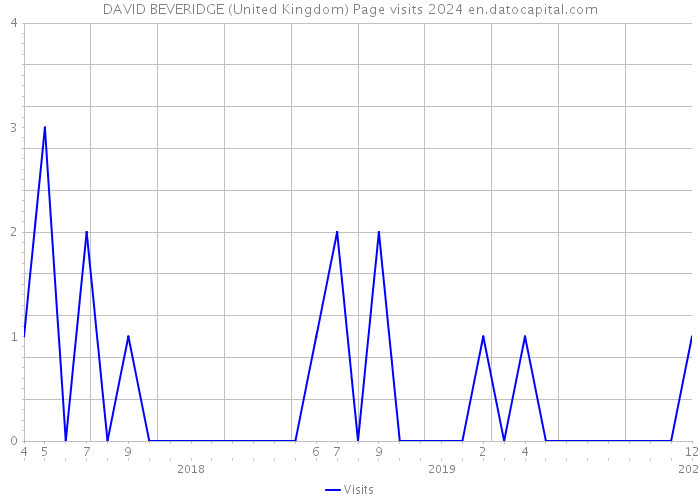 DAVID BEVERIDGE (United Kingdom) Page visits 2024 