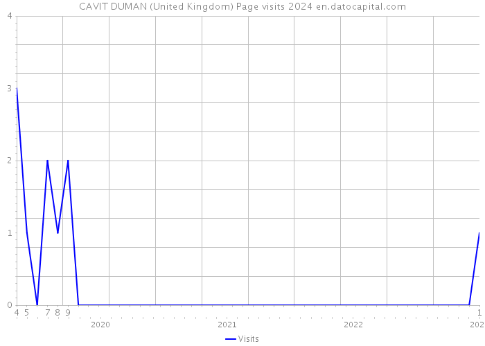 CAVIT DUMAN (United Kingdom) Page visits 2024 