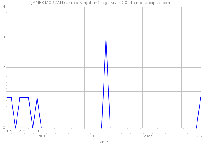 JAMES MORGAN (United Kingdom) Page visits 2024 